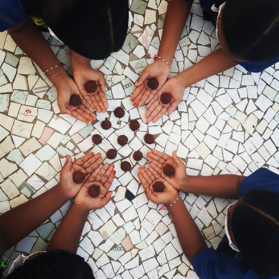 Anbau von eigenen Heilpflanzen